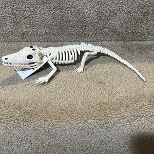 10" Baby Alligator Skeleton Prop Halloween decor